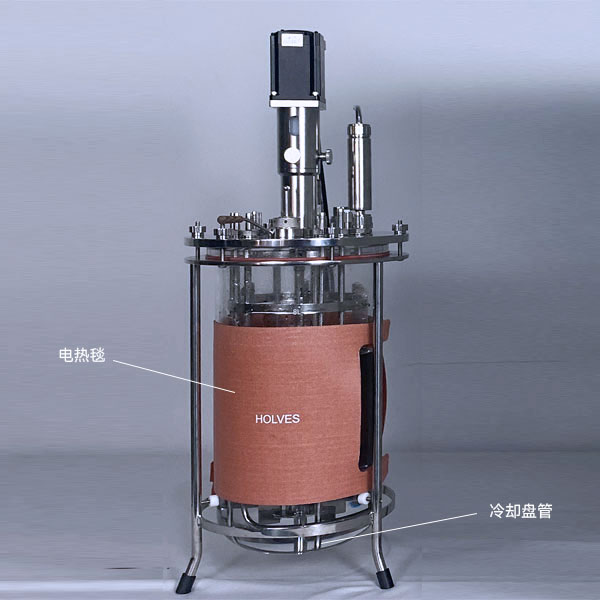 jiuyoucom（HOLVES）实验发酵罐