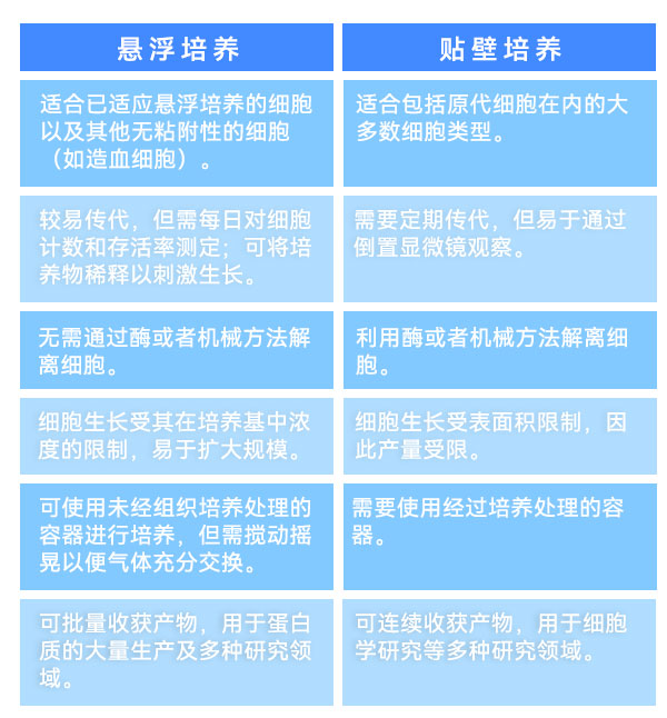 悬浮培养和贴壁培养 悬浮培养和贴壁培养